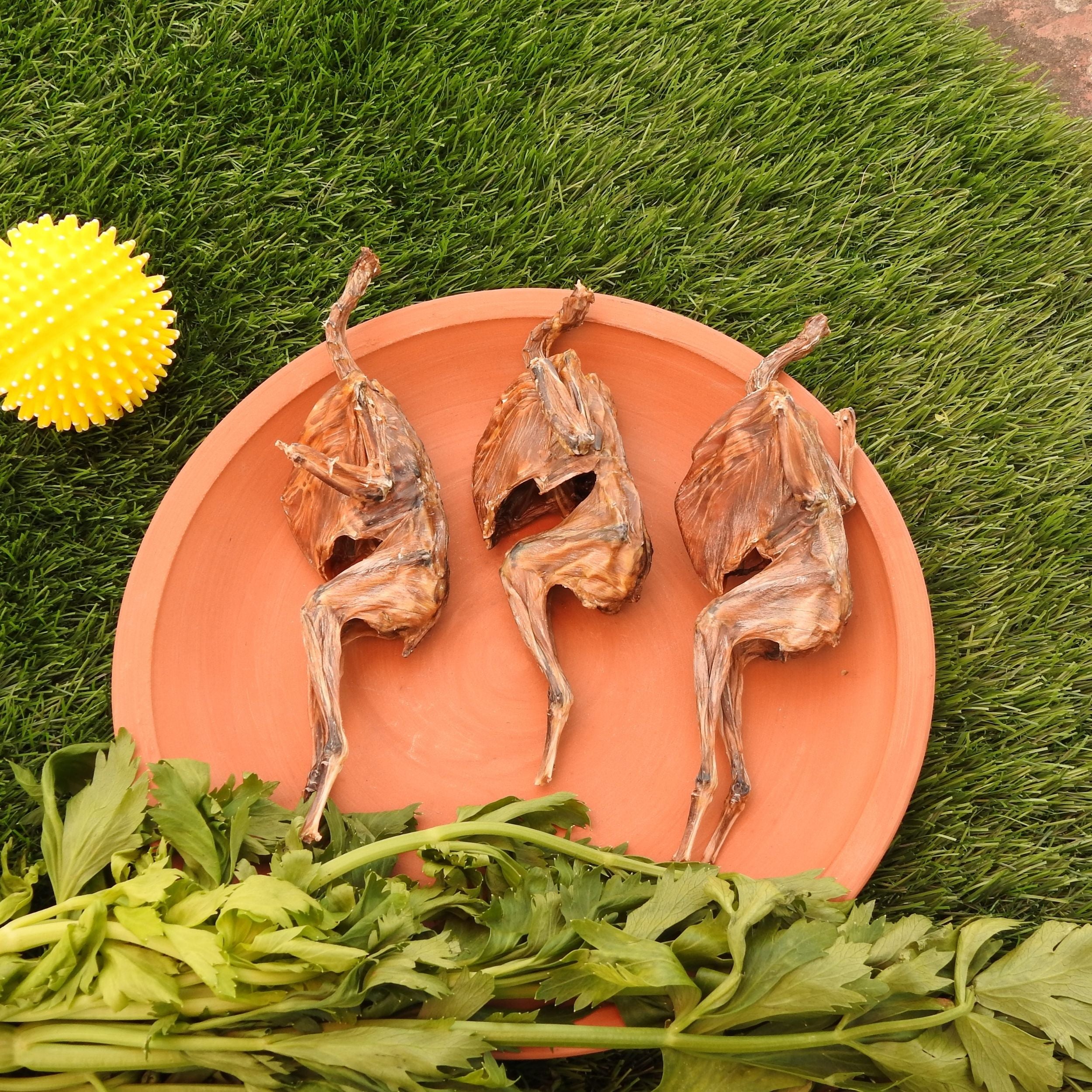 WHOLE QUAIL- AIR DRIED ( 2 pcs ) image 0