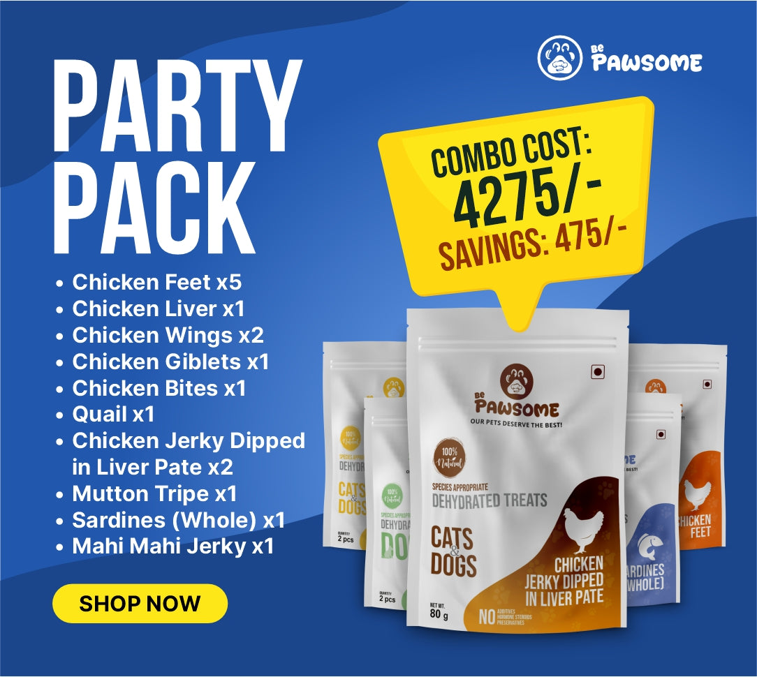 Party Pack