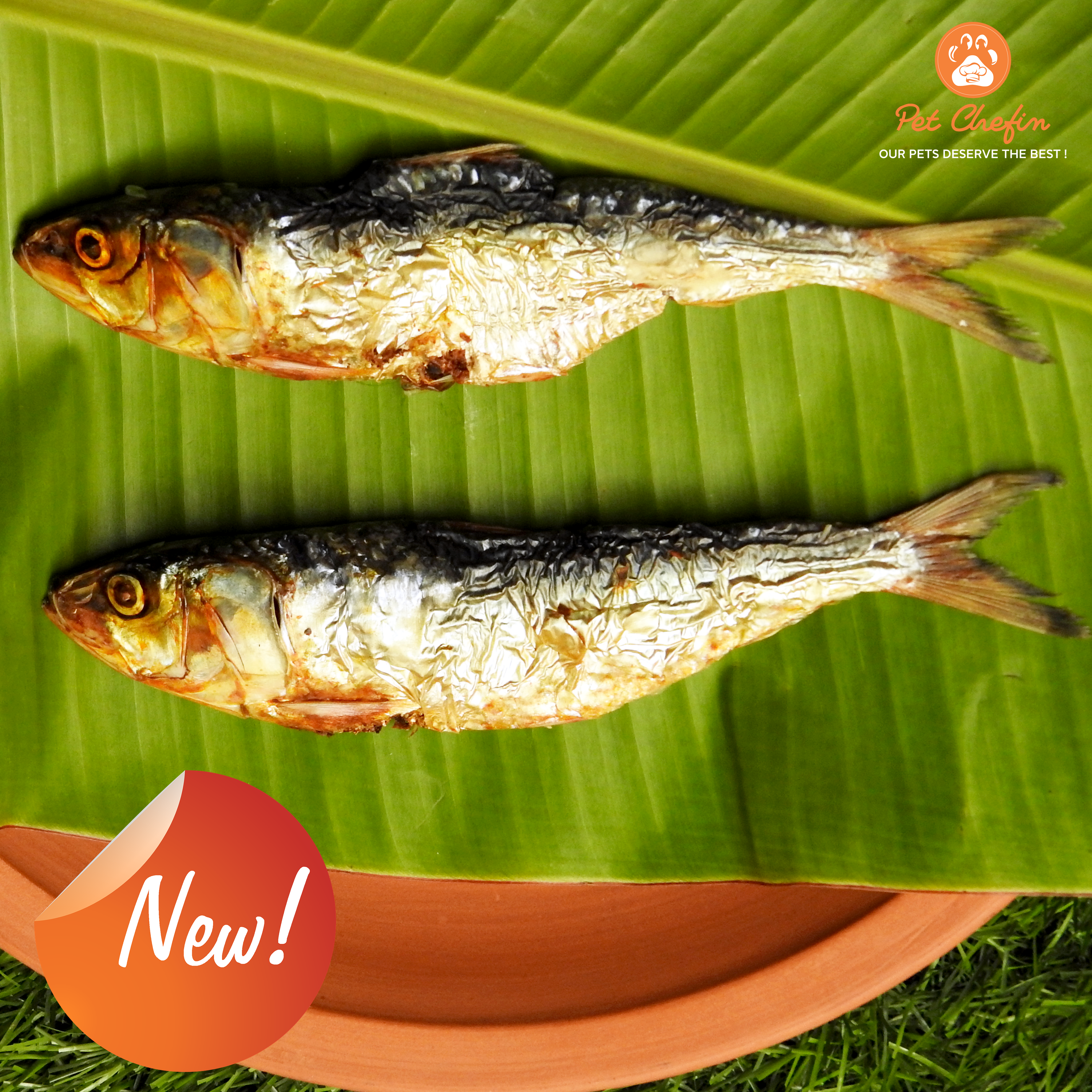 Dehydrated Sardines ( 100 gms ) image 0